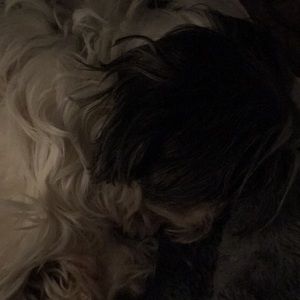 Meet your Posher, Amber